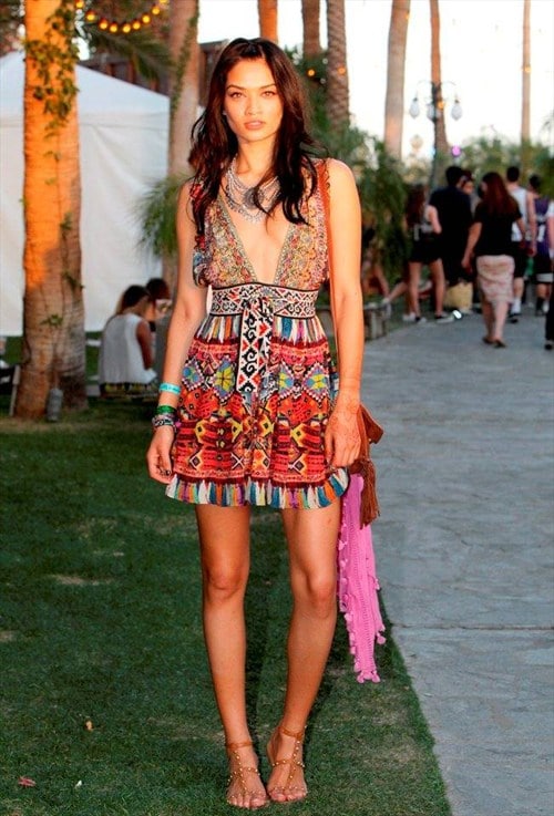 Celebrities at Coachella 2015, Pictures