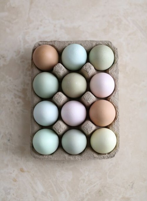 Dyed Eggs