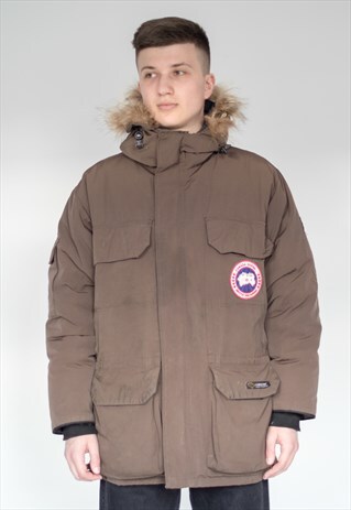 canada goose brown canada goose brown