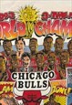 VINTAGE 90S CHICAGO BULLS CARICATURE COMIC STYLE T-SHIRT