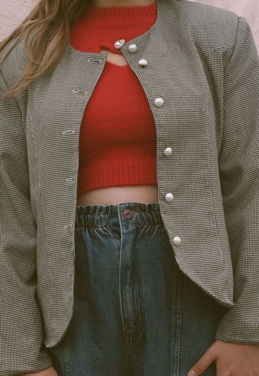 garment image