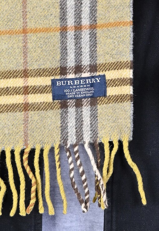 garment image