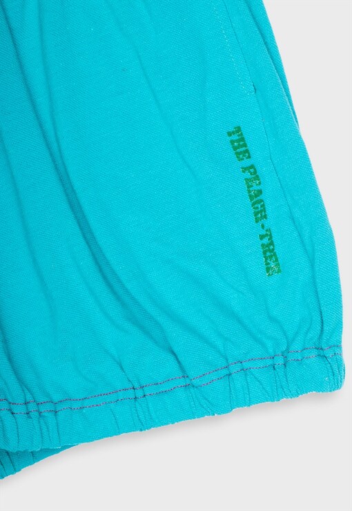 garment image