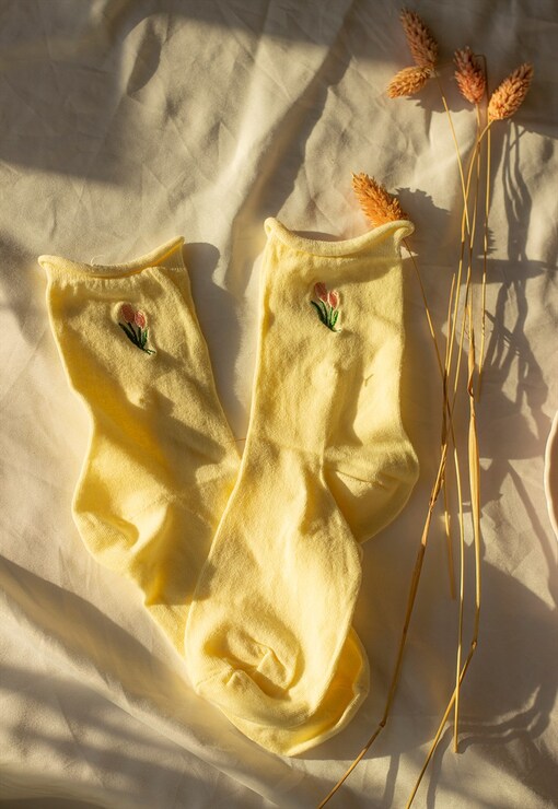 garment image