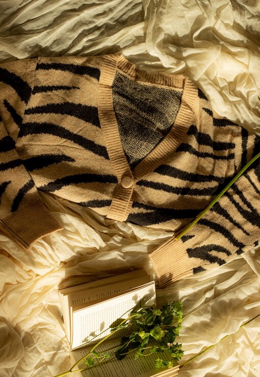 garment image