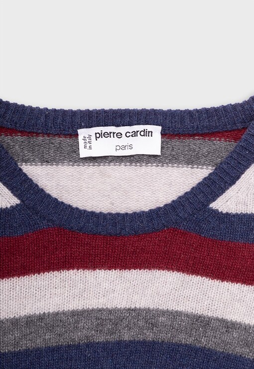 garment image