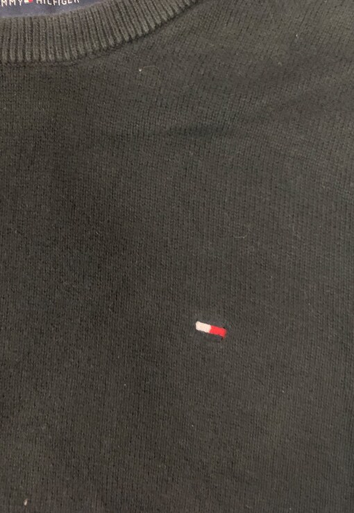 garment image