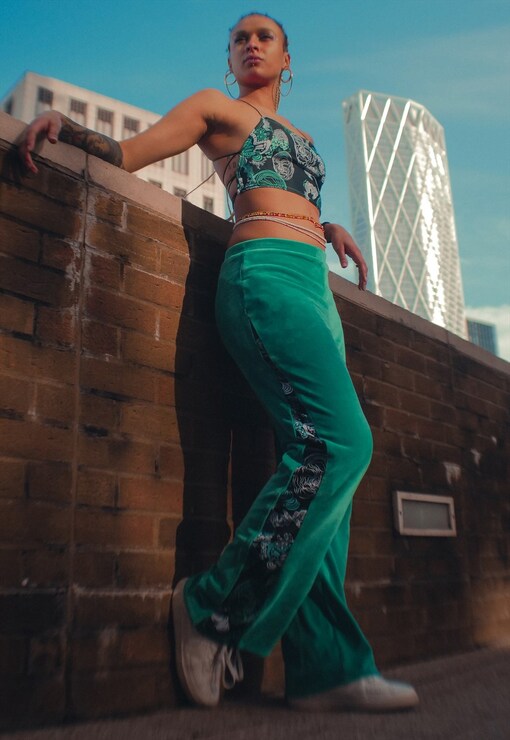 garment image