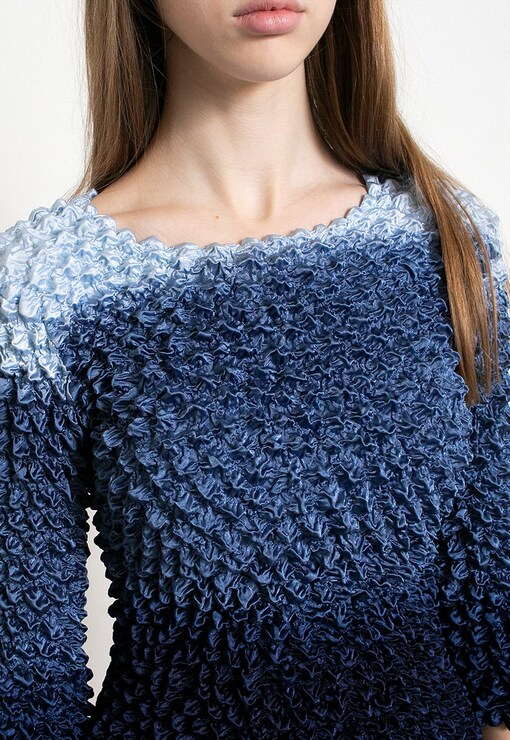 garment image