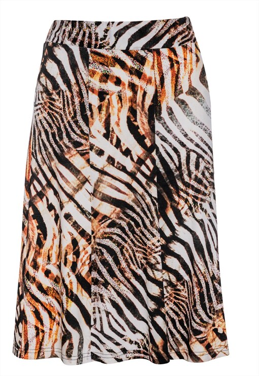 garment image