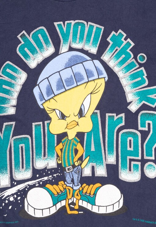 garment image