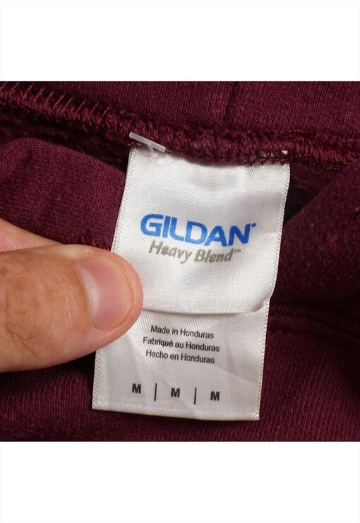 garment image