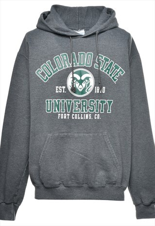 BEYOND RETRO VINTAGE CHAMPION PRINTED HOODIE - XL