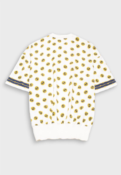 garment image