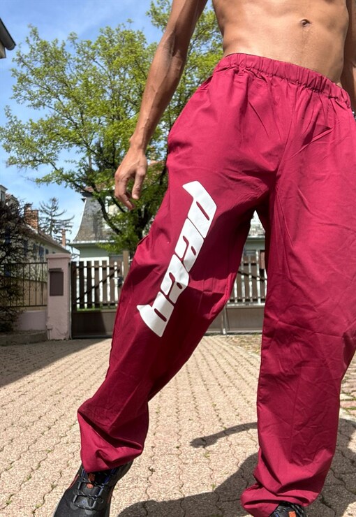 garment image