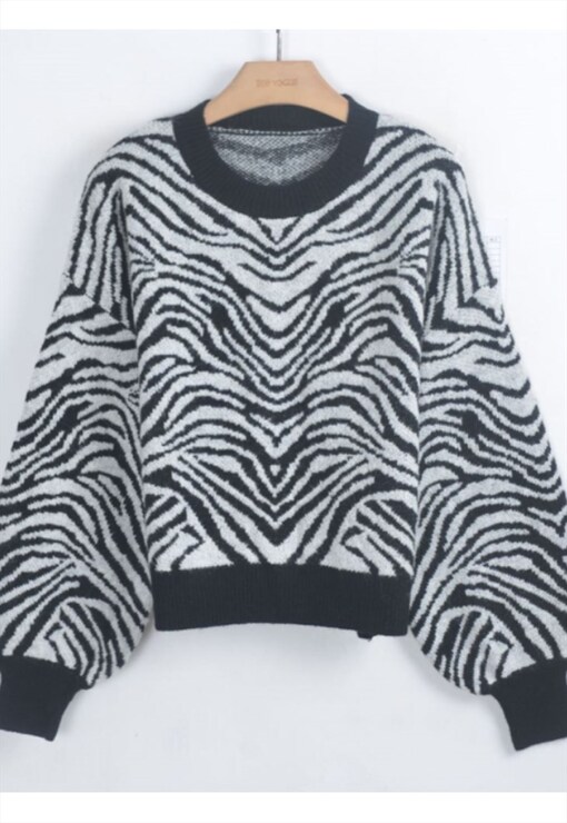 garment image
