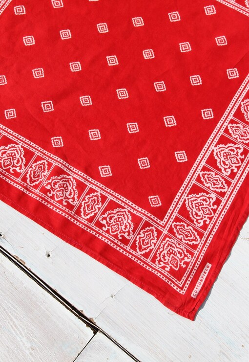 garment image