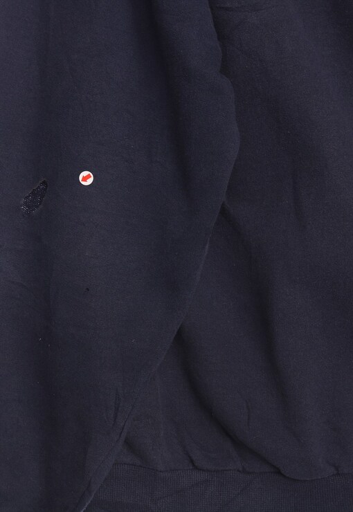 garment image