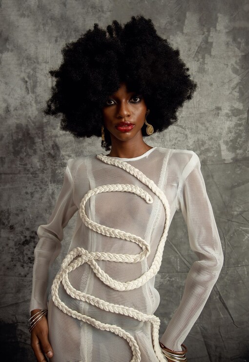 garment image