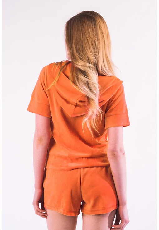 garment image