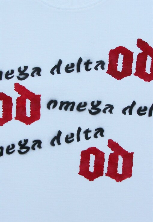 garment image