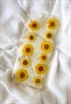 PRESSED DAISIES CLEAR CASE FOR THE IPHONE 6 AND 6S PLUS