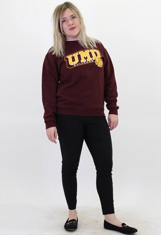 VINTAGE CHAMPION USA JUMPER