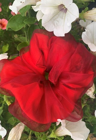 LARGE RED ORGANZA SCRUNCHIE