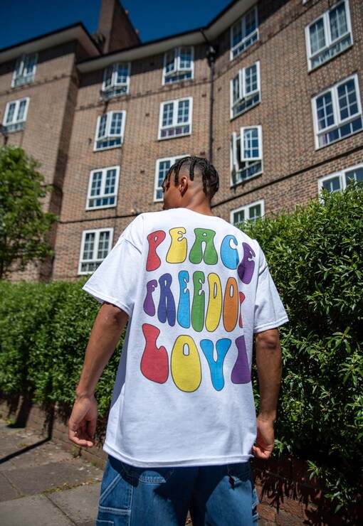 garment image
