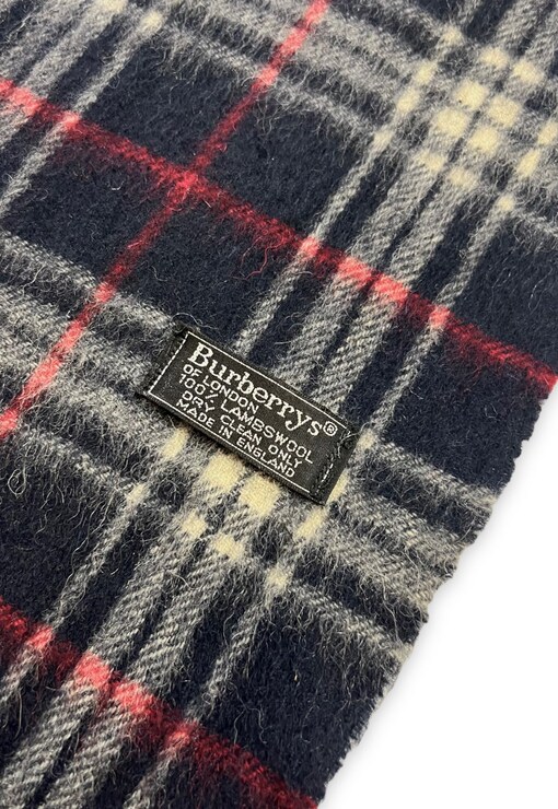 garment image