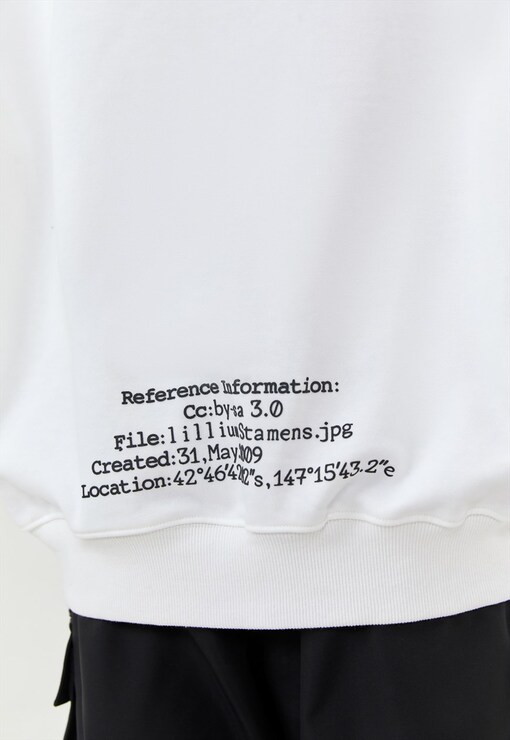 garment image