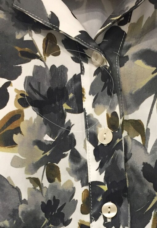 garment image