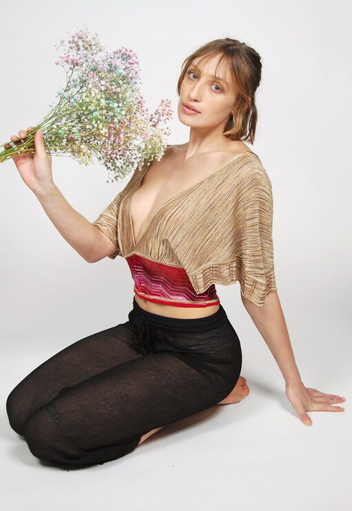 garment image