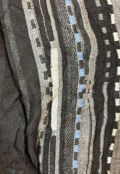garment image