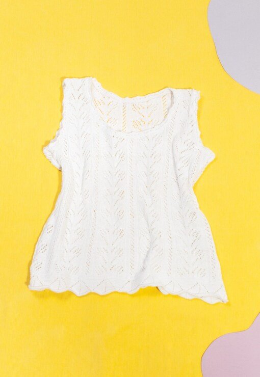 garment image