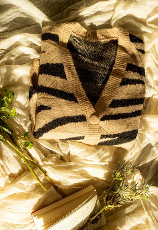 garment image