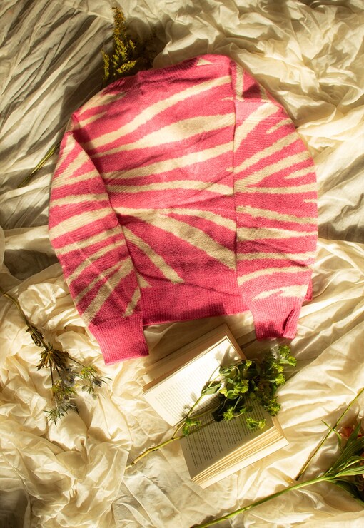 garment image