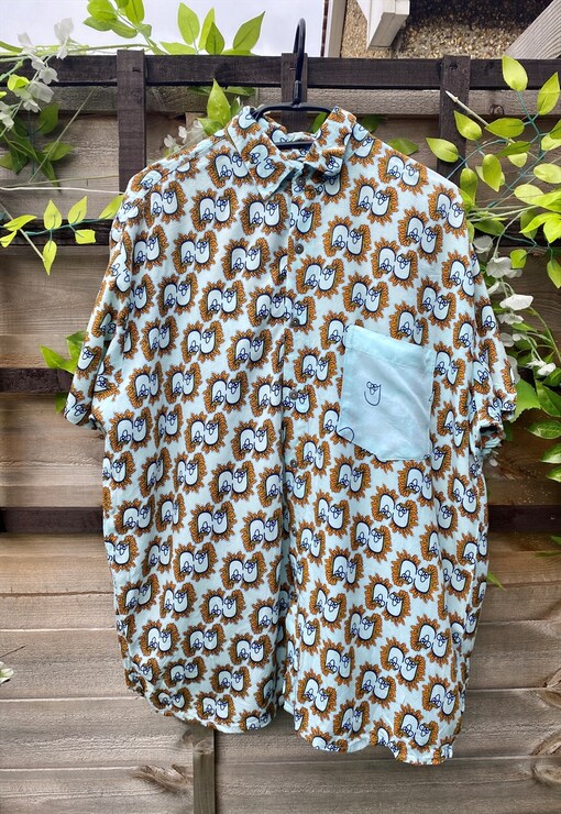 garment image