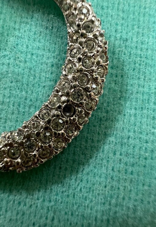 garment image