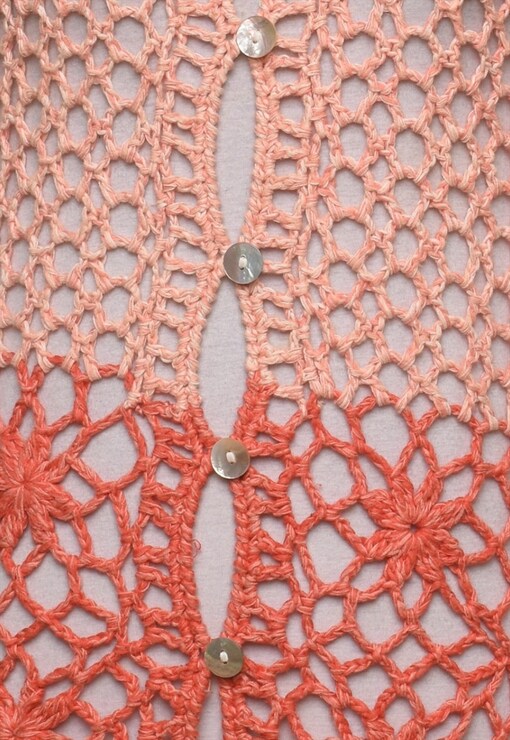 garment image