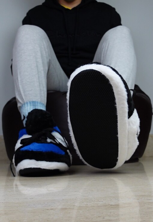 garment image