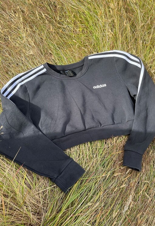 garment image