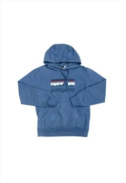 Patagonia spell out hoodie