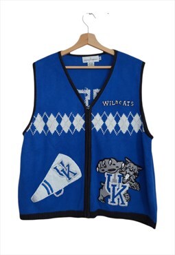 Castles Sports 1990's vintage Wildcats sweater vest 