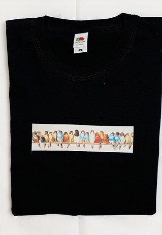 A PERCH OF BIRDS FAMOUS VINTAGE WILDLIFE NATURE ART T-SHIRT