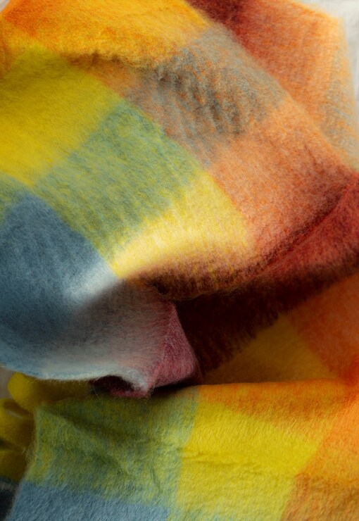 garment image