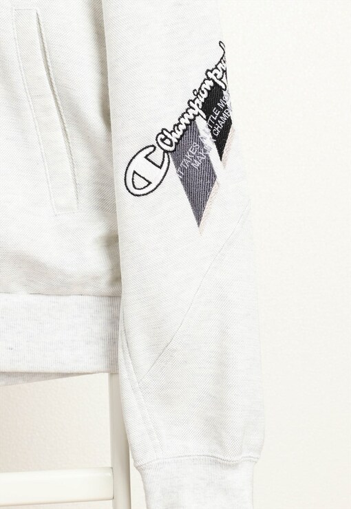garment image