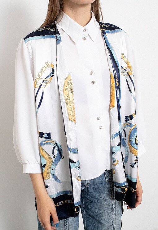 garment image
