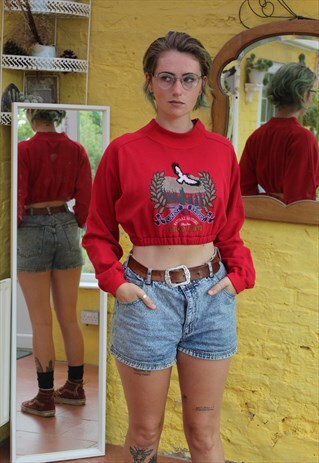 UPCYCLED REWORK USA EAGLE FOREST RESERVE CROPPED SWEATER S/M