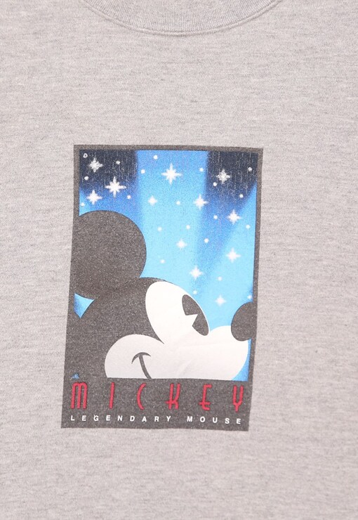 garment image